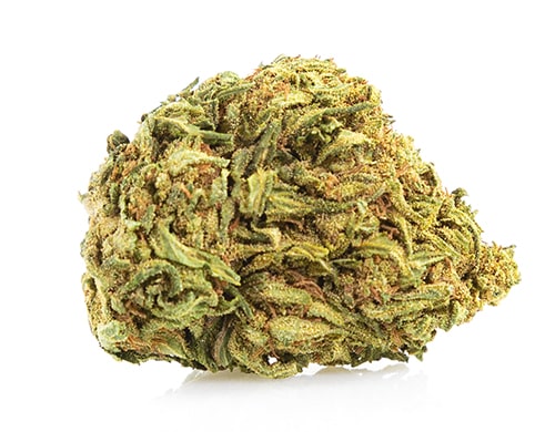 Cogollos de marihuana cbd Mango Haze
