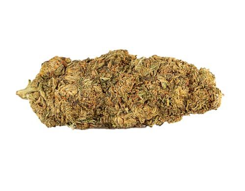 Cogollos de marihuana cbd Mango Haze