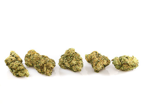 Cogollos de Lemon-Cheese Marihuana cbd online