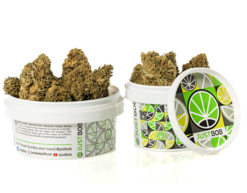 Cogollos de Marihuana CBD lemon cheese de alta calidad en un contenedor sellado para mantener la frescura