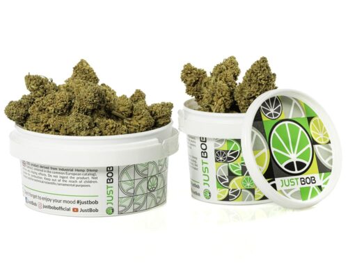 Cogollos de Marihuana CBD white widow de alta calidad en un contenedor sellado para mantener la frescura