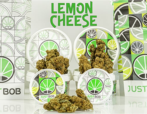Lemon_Cheese