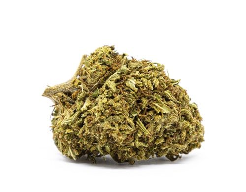 Orange Bud Marihuana CBD online