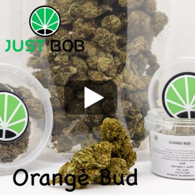 video-orange-bud