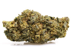 Orange cbd boost marihuana cbd