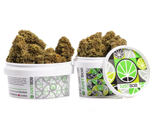 Tarro de mango cbd boost