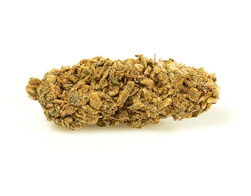 Cogollo de Marihuana CBD White Widow