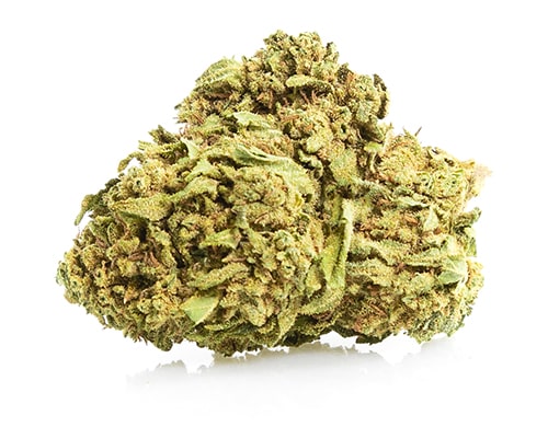 Cogollo de Marihuana CBD White Widow