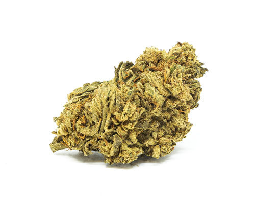 Cogollo de Marihuana CBD White Widow