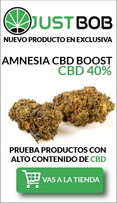 amnesia cbd boost canamo de cbd