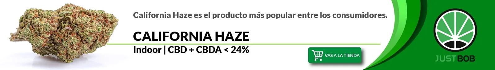 canamo de cbd claifornia haze banner de justbob del cogollo cbd california haze