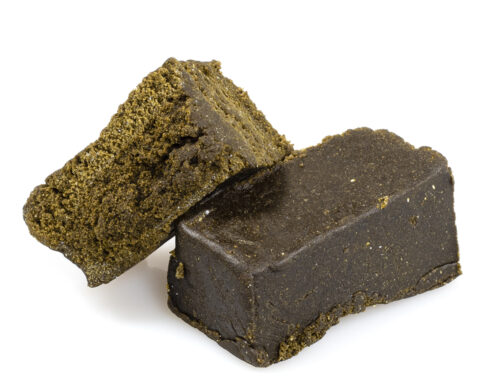 charas hachis online