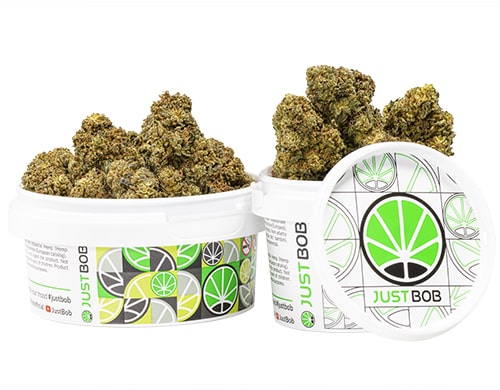 cogollos-mango-cbd-boost