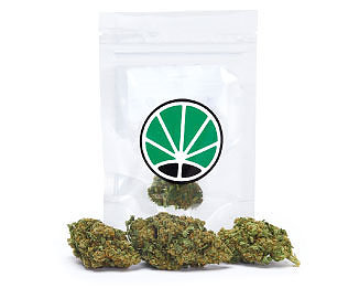 lemon-cheese-marihuana-cbd-thc-cannabis-sativa lemon-cheese-marihuana-cbd-thc-cannabis-sativa