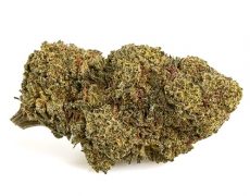 mango-cbd-boost-pequeño-marihuana-cbd