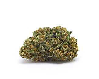 orange-bud-marihuana-indica-cbd-thc orange-bud-marihuana-indica-cbd-thc