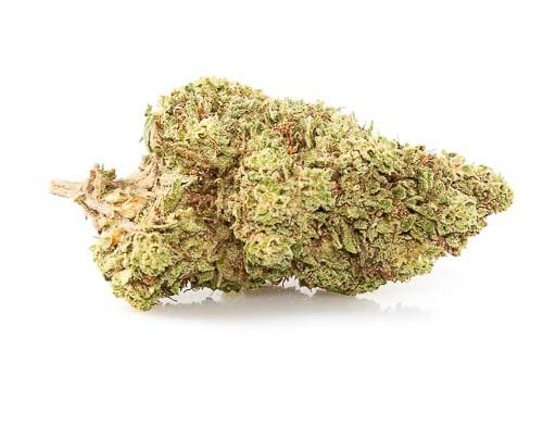 orange skunk marihuana sin thc