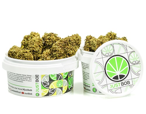 cogollos-gorilla-glue