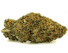 sweet-berry-small-marihuana-cbd