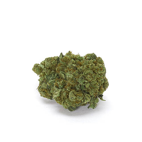 white-widow-female-seeds-gentica-white-widow white-widow-female-seeds-gentica-white-widow