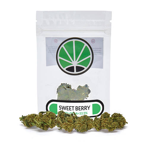 sweetberry-cannabis-indica-cbd-thc sweetberry-cannabis-indica-cbd-thc