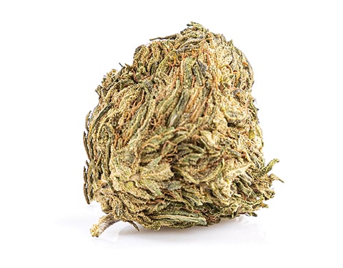 Cogollo de Marihuana CBD Melon-Kush
