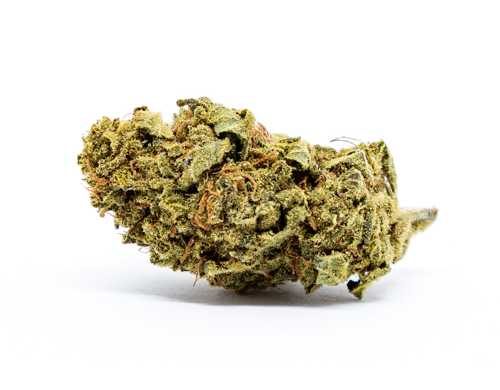 Cogollo de Marihuana CBD Melon-Kush