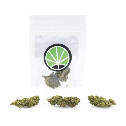 melon-kush-marihuana-canamo-cannabis melon-kush-marihuana-canamo-cannabis
