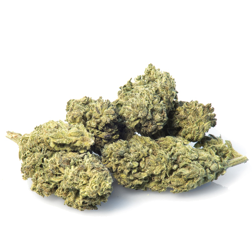melon-kush-weed-marihuana melon-kush-weed-marihuana