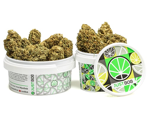 cogollos-cbd-MELON KUSH