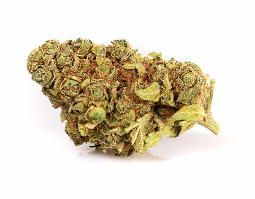 Gorilla Glue Cogollo de CBD on line