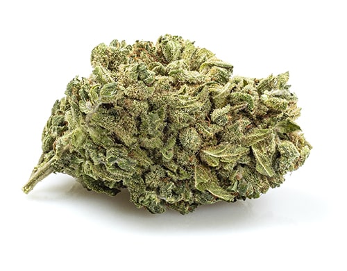 Gorilla Glue Cogollo de cbd online