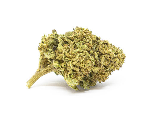 Gorilla Glue Cogollo de CBD on line