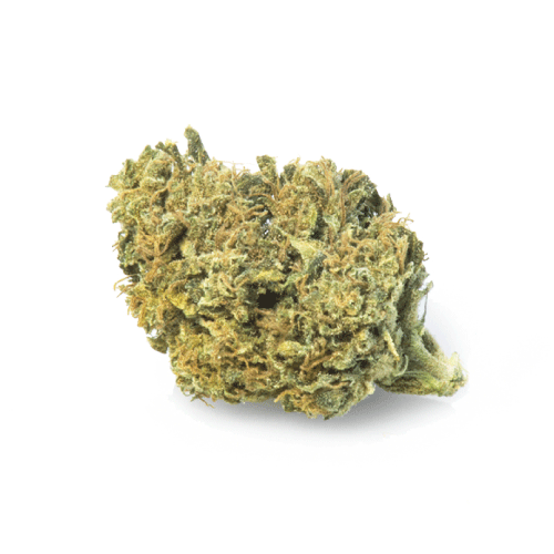 gorilla-glue-canamo-cbd-cannabis gorilla-glue-canamo-cbd-cannabis