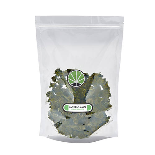 gorilla-glue-seeds gorilla-glue-seeds