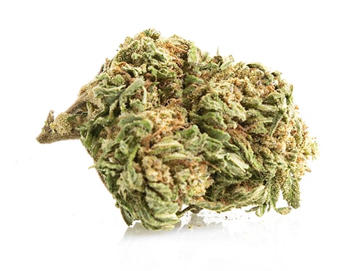 Cogollos Bubblegum marihuana CBD on line