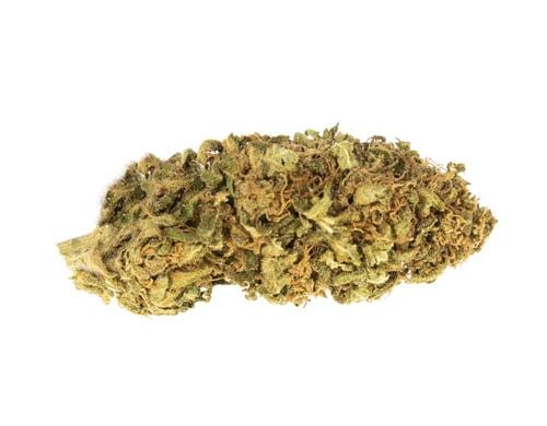 Cogollos Bubblegum marihuana CBD on line
