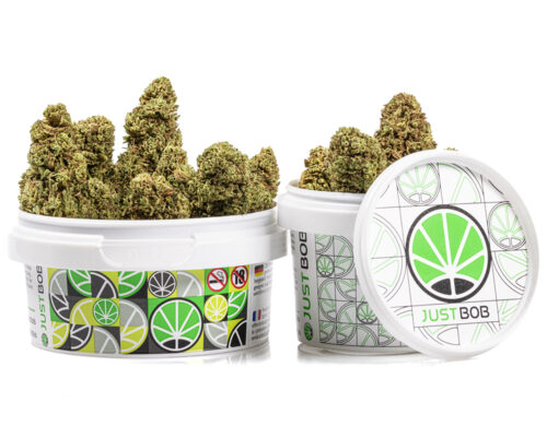 Lata con Bubblegum cannabis cbd