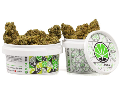 Lata con cogollos de cannabis cbd master kush