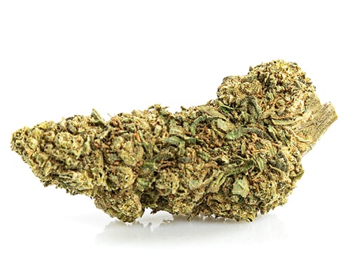 Master Kush CBD Online Marihuana