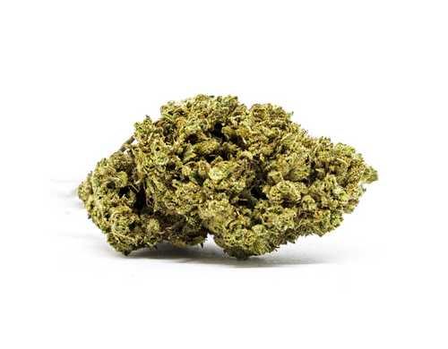 Master Kush CBD Online Marihuana