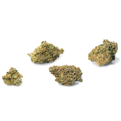 bubblegum-canamo-cbd bubblegum-canamo-cbd