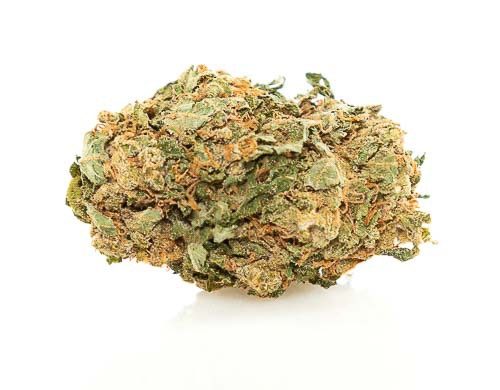 Cogollos Bubblegum marihuana CBD on line