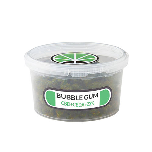 bubblegum-kush-cbd-thc bubblegum-kush-cbd-thc