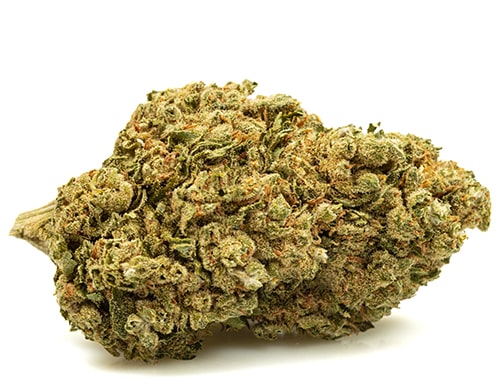 bubblegum-marihuana-cbd