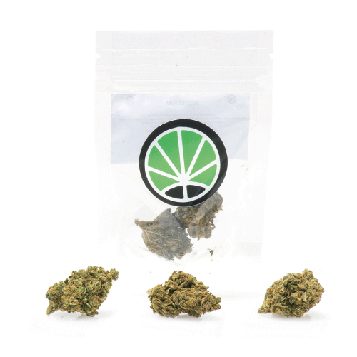 bubblegum-marihuana-cbd-espana bubblegum-marihuana-cbd-espana