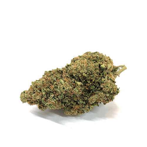 bubblegum-marihuana bubblegum-marihuana