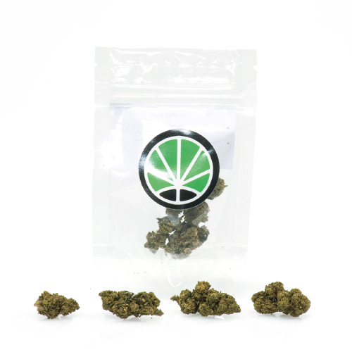 master-kush-marihuana-canamo-cbd master-kush-marihuana-canamo-cbd