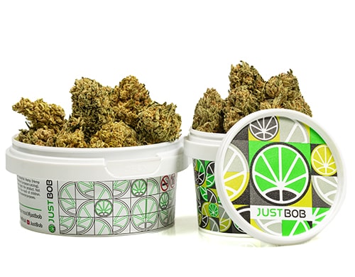 cogollos-cbd-bubblegum