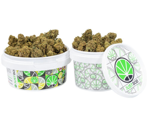 tarro con pequeños cogollos de cannabis cbd Bubblegum